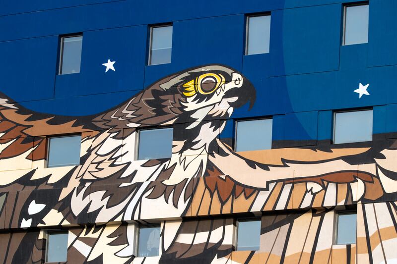 The migratory saker falcon spends its winters in the Arabian Peninsula.