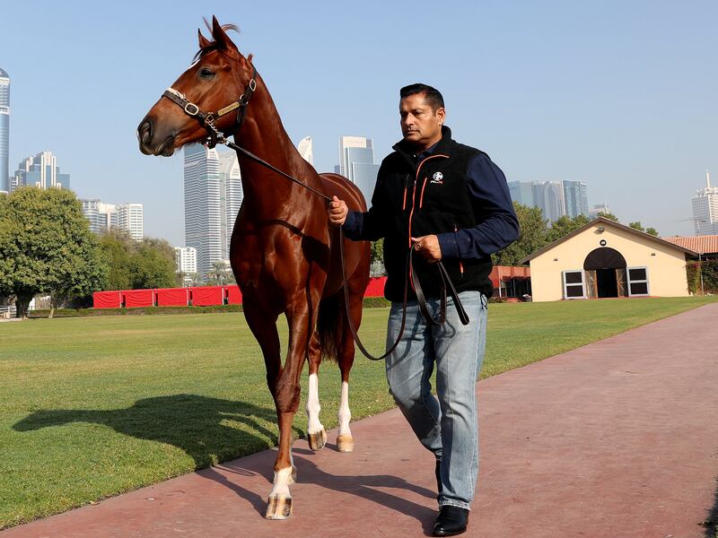 Dubai, United Arab Emirates - January 16th, 2018: Satish Seemar, one of the longest serving and successful racehorse trainers in the UAE. Tuesday, January 16th, 2018 at Zabeel stables, Dubai. Chris Whiteoak / The National