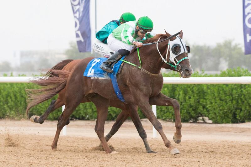 09.11.19. Sharjah. Race 6 JAP Al Yasoob  - trainer Irfan Ellahi - jockey  Fernando Jara - Erika Rasmussen