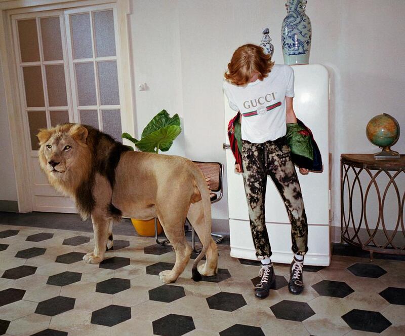 The campaign is suitably eccentric, with wild cats walking the streets and wandering into homes. Courtesy of Gucci by Glen Lunchford 