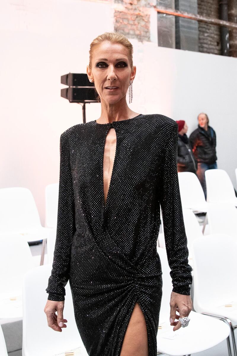 epa07309821 Canadian singer Celine Dion poses for the photographers prior to the Spring/Summer 2019 Haute Couture collection show by French designer Alexandre Vauthier during the Paris Fashion Week, in Paris, France, 22 January 2019. The presentation of the Haute Couture collections runs from 21 to 24 January.  EPA-EFE/ETIENNE LAURENT