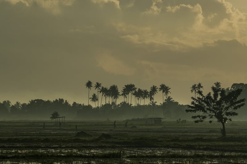 Globally, agriculture is the largest source of human-caused methane emissions. Bloomberg