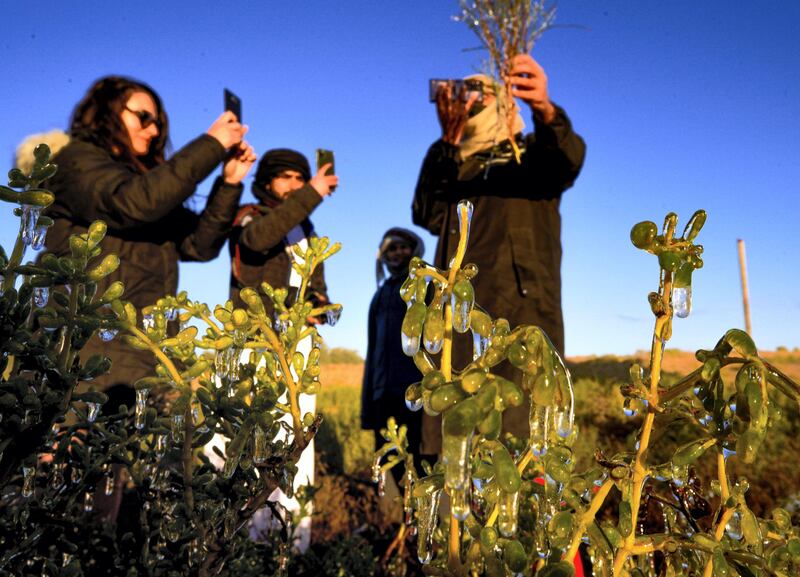 Rukna Region, Al Ain, United Arab Emirates, January 11, 2021. Al Ain residents, drove to the Rukna region to experience and take pictures of frozen shrubs due to  low temperatures at the area which went down to -4 degrees Celsius  at one point.                     
Victor Besa/The National
Section:  NA
Reporter:  Haneen Dajani