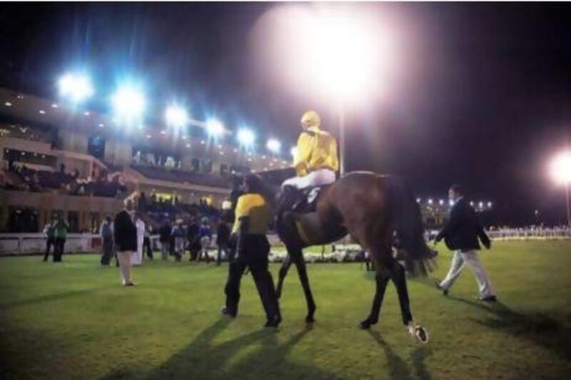 Abu Dhabi, UAE, March 3, 2013:The Abu Dhabi Equestrian Club's 13th Race Meeting was held today. In the sixth and final race saw Jockey James Doyle and the horse Canwinn take first place.Mr. Doyle is wearing a yellow jersey and helmet.