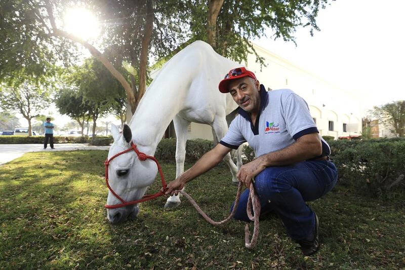 Abdelrahman AbdAllah Abbar with his favourite pony Chilandrina at his stable at Dubai Polo and Equestrian Club. Sarah Dea / The National