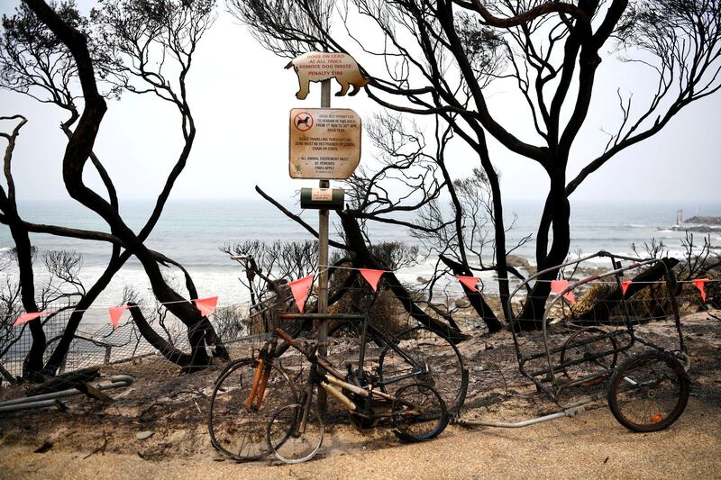 Burnt bicycles are left by the beach amongst burnt trees where people had previously taken shelter during a fire on New Years' Eve in Mallacoota, Australia. Reuters