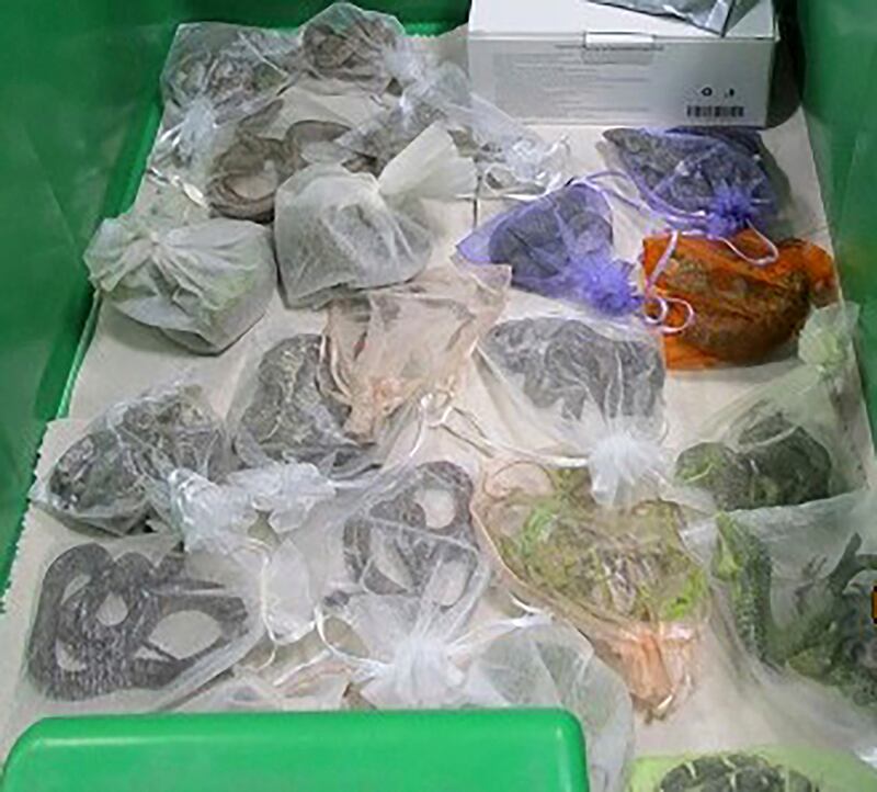 This February 2022 photo shows snakes and lizards in bags found hidden under and in Jose Manuel Perez's clothes by border patrol officers in California. AP
