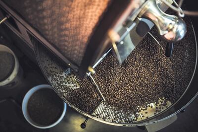The process of roasting a batch of high quality single origin coffee beans in a large industrial roaster; the toasted beans are in the cooling cycle.  High angle overhead view.  Horizontal image with copy space.