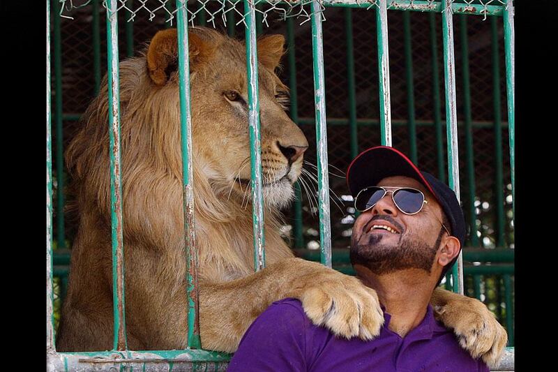 Jasim Al Azur  poses next to his Lion at his private zoo in Ras Al khaimah.  Satish Kumar / The National