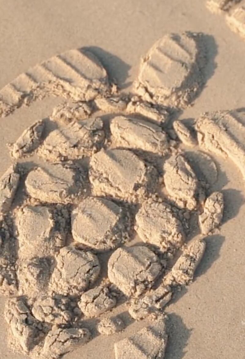 Designs such as turtles and seashells have been embossed on to the sand