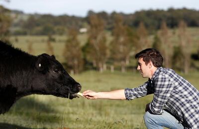 SOUTHERN HIGHLANDS, AUSTRALIA - APRIL 13: Australian Cricketer Pat Cummins poses with his cows while in isolation at his property on April 13, 2020 in Southern Highlands, Australia. Cummins, who is due to commence his record-breaking Indian Premier League deal worth 155 million Indian rupees ($A3.2m), has been home isolating at his property south of Sydney due to the COVID-19 epidemic. (Photo by Ryan Pierse/Getty Images)