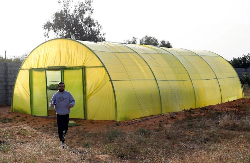 Siraj at the entrance of the greenhouse in Qouwea. There has been some improvisation on materials as the farm pioneers hydroponics in Libya. AFP