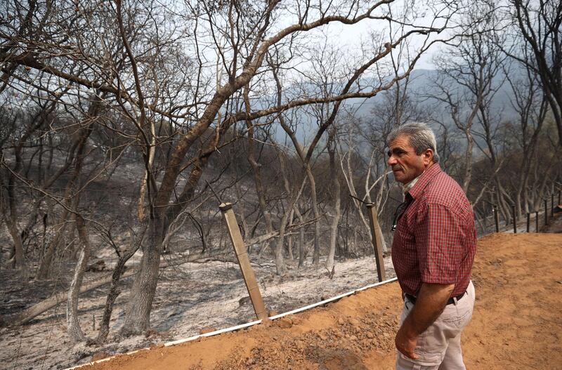 Sid Torun, owner of M.S. Torun Family Vineyards, walks through a portion of his property that was burned in Vacaville, California. AFP