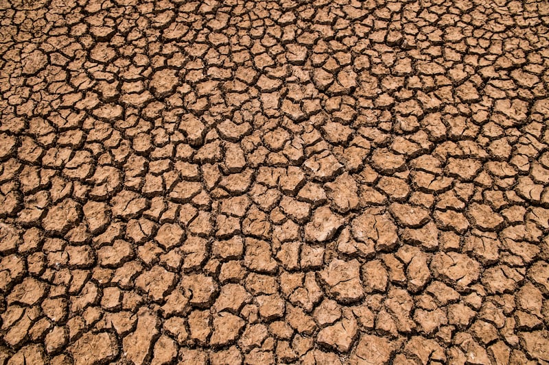 A dry riverbed in Fuente de Piedra. Getty 