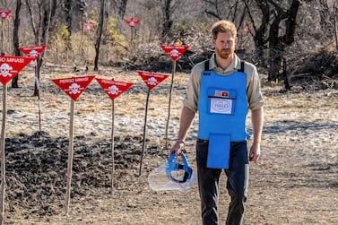 A handout photo made available by the HALO Trust shows Prince Harry, Duke of Sussex, visiting the minefield in Dirico, Angola on September 27, 2019. Britain's Prince Harry on September 27, 2019 walked through a cleared minefield in Angola, tracing his late mother's footsteps to draw attention to a country that remains plagued by land mines. - RESTRICTED TO EDITORIAL USE - MANDATORY CREDIT "AFP PHOTO / The HALO Trust" - NO MARKETING NO ADVERTISING CAMPAIGNS - DISTRIBUTED AS A SERVICE TO CLIENTS / AFP / The HALO Trust / - / RESTRICTED TO EDITORIAL USE - MANDATORY CREDIT "AFP PHOTO / The HALO Trust" - NO MARKETING NO ADVERTISING CAMPAIGNS - DISTRIBUTED AS A SERVICE TO CLIENTS