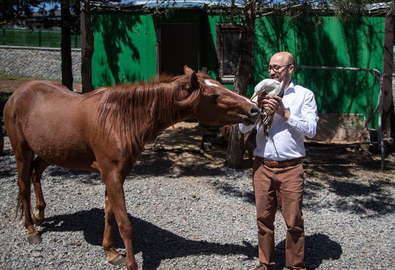 Mr Akkok with his blind horse and a crippled seagull at his farmhouse. The 48-year-old entrepreneur takes in injured or sick animals in his garden. EPA