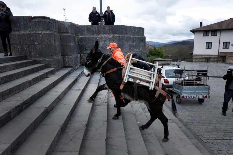 In Urkiola, Spain, Perico the donkey, with Flay the dog and Fifi the cat on its back, climbs the steps of the Sanctuary of Saint Anthony the Abbot and Saint Anthony of Padua to receive a blessing on the day of Saint Anthony, Spain's patron saint of animals. Reuters