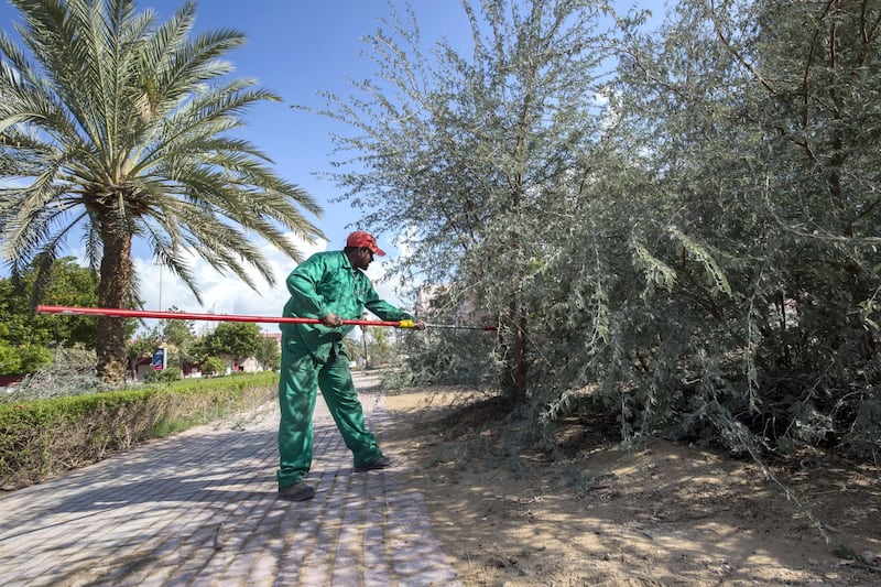 Dubai, United Arab Emirates - A Dubai Municipality worker clearing the debris at Discovery Gardens.  Ruel Pableo foir The National