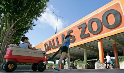 Odd animal incidents at Dallas Zoo are being investigated. AP