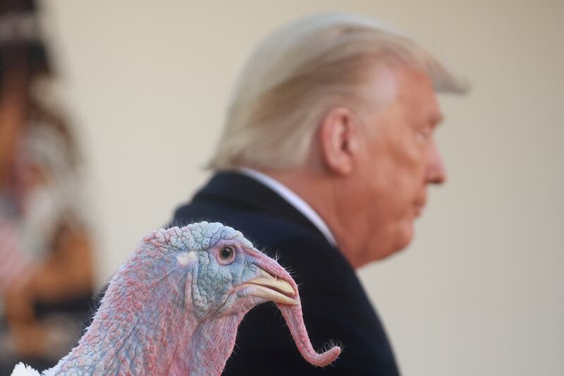 Mr Trump and a turkey at the ceremony in 2020. Reuters