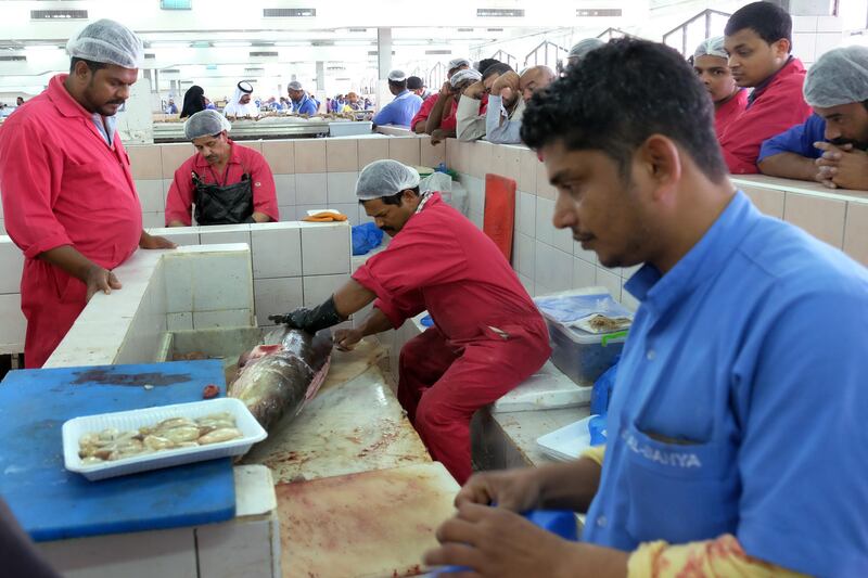 ABU DHABI, UNITED ARAB EMIRATES - - -  04 April 2017 --- A group of men watch as a fish worker skins and cleans a lemon fish at the Abu Dhabi Fish Market in Mina.    (  DELORES JOHNSON / The National  )  
ID: 38529
Reporter:  Afshan Ahmed
Section: AL *** Local Caption ***  DJ-040417-AL-Chefs Ivan and Senen-38529-034.jpg