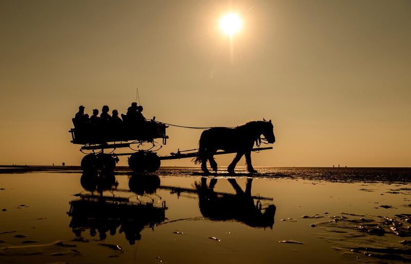 People enjoy the ride in a horse-drawn carriage through the Wadden sea near Cuxhaven, Germany. AP