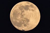 Worm Moon set to light up UAE skies for three nights next week