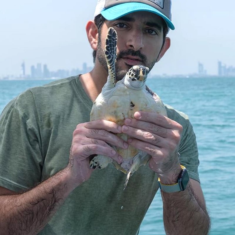Sheikh Hamdan, Crown Prince of Dubai, poses with one of the sea turtles he helped release into the wild. Instagram/ @faz3