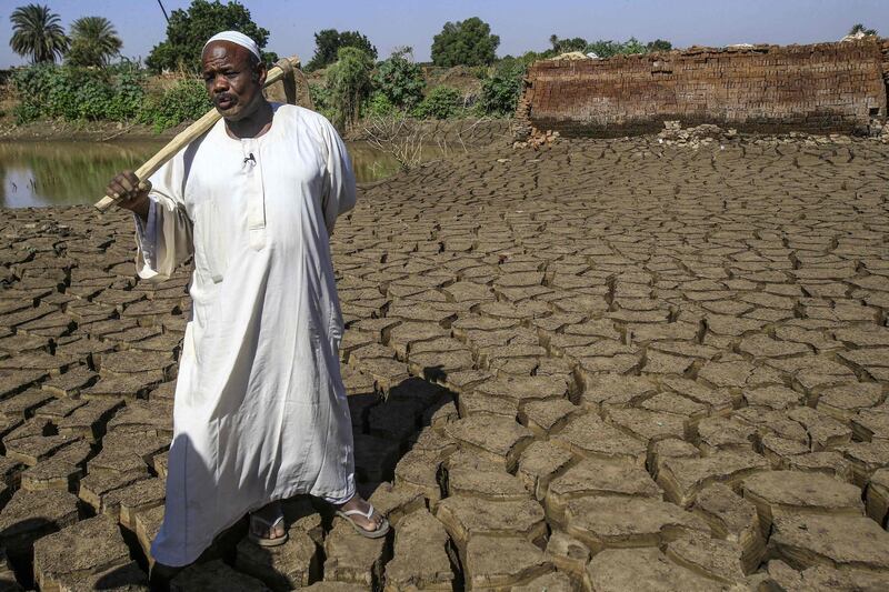 Othman Cheikh Idriss, a 60-year-old Sudanese farmer stands in an agricultural field in the capital Khartoum's district of Jureif Gharb, not flooded by the Blue Nile thanks to Ethiopia's Grand Renaissance Dam. AFP