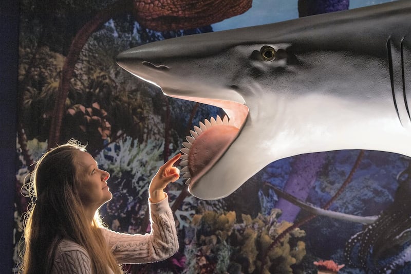 Deputy Keeper of Natural History Dr Emma Nicholls views a model of a Helicoprion, a spiral-toothed shark, during the preview for the Horniman Museum's 'Permian Monsters: Life Before the Dinosaurs' exhibition in south London. (Photo by Dominic Lipinski/PA Images via Getty Images)