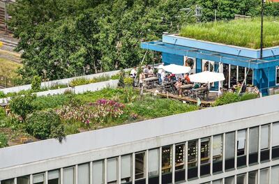 TRDHGH Rotterdam, The Netherlands, June 2, 2019: section of the Dakakker (Rooftop Field) with a flower garden and a cafe on top of a 1960's office building. Alamy