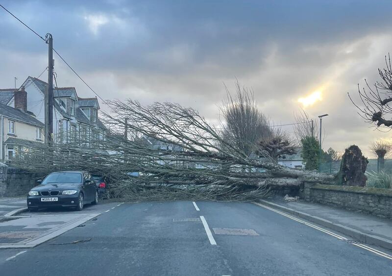 A fallen tree blocks Egloshaye Road in Wadebridge, north Cornwall. PA