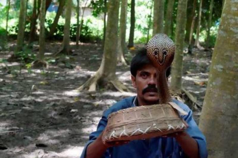 An Indian snake charmer performs with a 'gokhra' cobra in a basket for passers-by at a snake fair at Purba Bishnupur village.