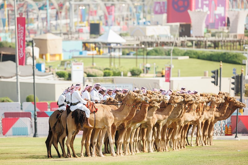 Camel riders participate in a reception for Sheikh Mohamed at the Amiri Diwan. Abdulla Al Neyadi / Presidential Court 