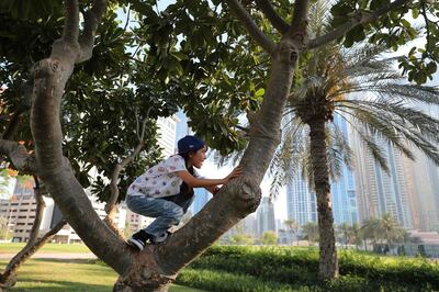 Michelle Rasul climbs a tree at a park near her house in Dubai, United Arab Emirates, Sunday, May 9, 2021. Rasul, a 9-year-old girl from Azerbaijan who lives in Dubai, is scratching her way to the top as a DJ after competing in the DMC World DJ Championship. (AP Photo/Kamran Jebreili)