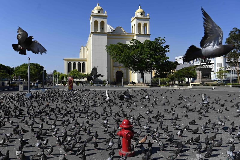 Pigeons gather outside the Metropolitan Cathedral of San Salvador during the 40th anniversay of San Oscar Arnulfo Romero (1917-1980) assassination.  AFP