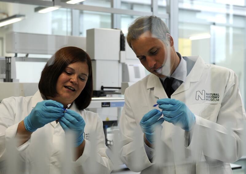 2009: Prince William is shown how to extract DNA from a mosquito by Dr Yvonne Linton, on a visit to open the Darwin Centre at the Natural History Museum, London. Getty Images