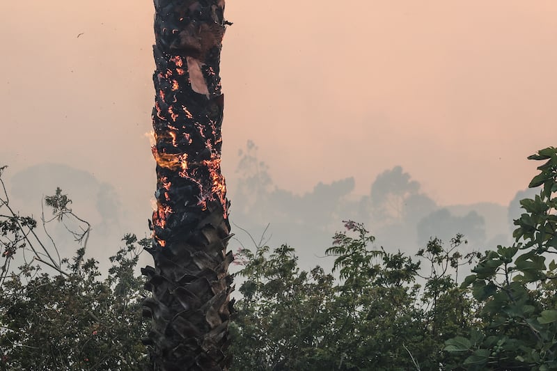 A fire burns a forested area of Alto do Alvide, Portugal. EPA