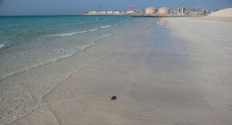 Sharjah public beach, one of many seaguls that died or got washed up dead. Not sure if caused by pollution or just exhaustion during their migration.