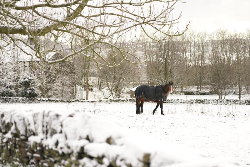 A horse in a snowy field in Outlane, Kirklees, West Yorkshire. PA