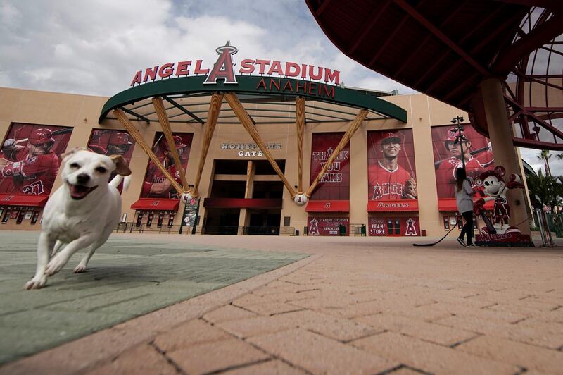 A woman walks her dog by an empty Angel Stadium of Anaheim in Anaheim, California, on March 25, 2020. AP Photo