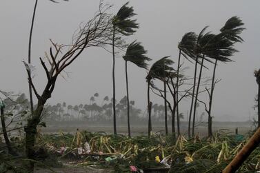 Uprooted trees lie as others stand amid gusty winds in Puri district after Cyclone Fani hit the coastal eastern state of Odisha, India, Friday, May 3, 2019. Cyclone Fani tore through India's eastern coast on Friday as a grade 5 storm, lashing beaches with rain and winds gusting up to 205 kilometers (127 miles) per hour and affecting weather as far away as Mount Everest as it approached the former imperial capital of Kolkata. (AP Photo)