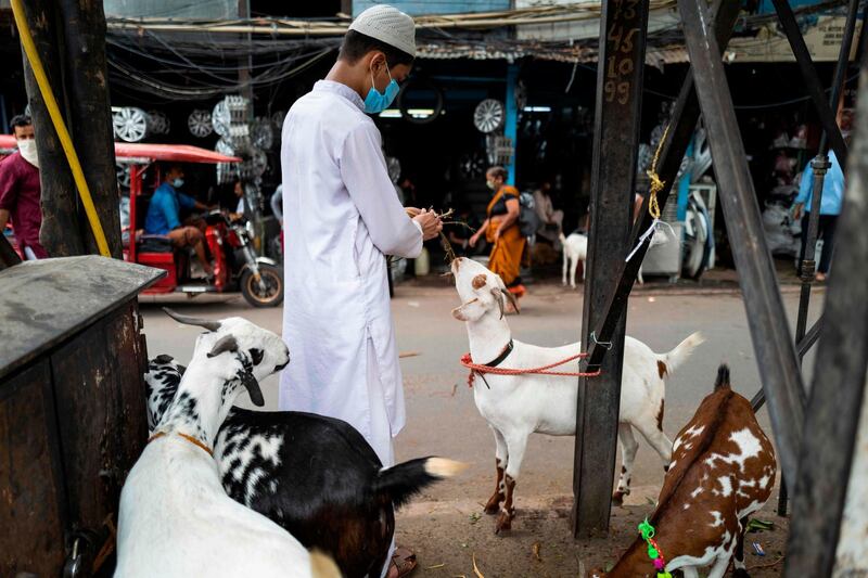 A boy feeds a goat in the old quarter of New Delhi ahead of Eid Al Adha. AFP