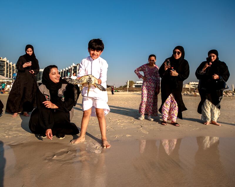 Turtles are released by the Environmental Agency Abu Dhabi,  with the help of Yas Research Centre, the National Aquarium Abu Dhabi and volunteers, at Jumeirah Hotel on Saadiyat Island. Victor Besa / The National