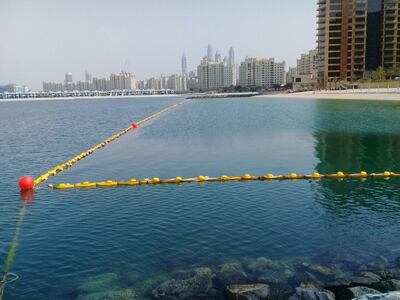 Jellyfish nets have been placed around popular bathing spots of the UAE coastline, protecting swimmers. Courtesy: EcoCoast