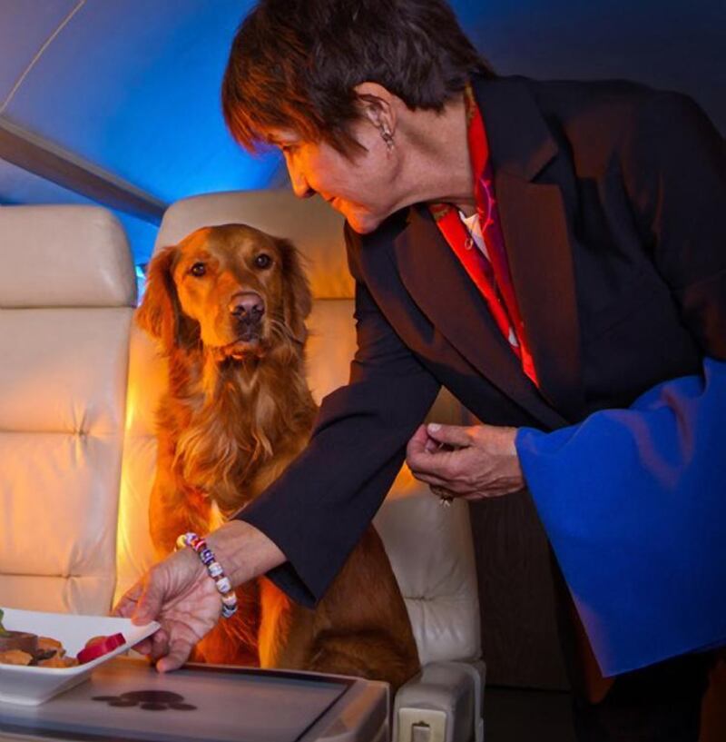 Many are choosing to fly private so they may have their pet in the cabin with them in a non-stressful environment, says Carol Martin, co-founder of Sit ‘n Stay Global — a luxury pet travel service based in California. Courtesy Carol Martin