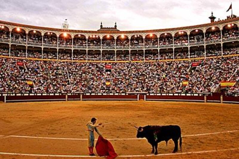 The Spanish matador Salvador Vega Garcia prepares to kill a bull during the San Isidro bullfighting fair in Las Ventas, Madrid. The fair includes cultural events and three weeks of bullfights.