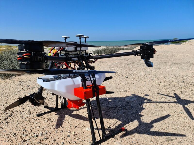 One of the drones that drops mangrove seed balls. Mangrove seed balls dropped on among mangrove seedlings in Al Dhafra. Courtesy: Environment Agency Abu Dhabi