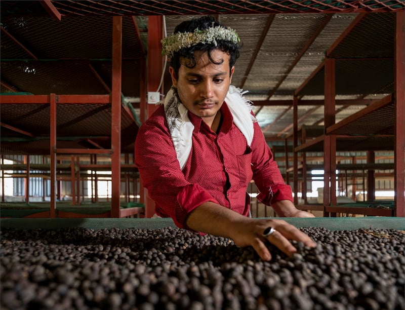 Coffee beans being inspected during the drying process. Photo: Ministry of Culture

