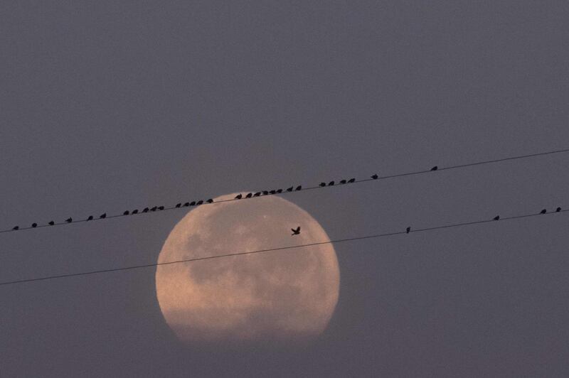 The supermoon is seen next to electric lines near Yangon. Ye Aung Thu / AFP